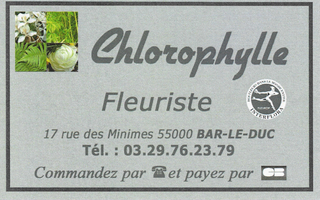 Logo - Chlorophyle (Réduit)