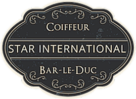 Logo - Star International (Réduit)